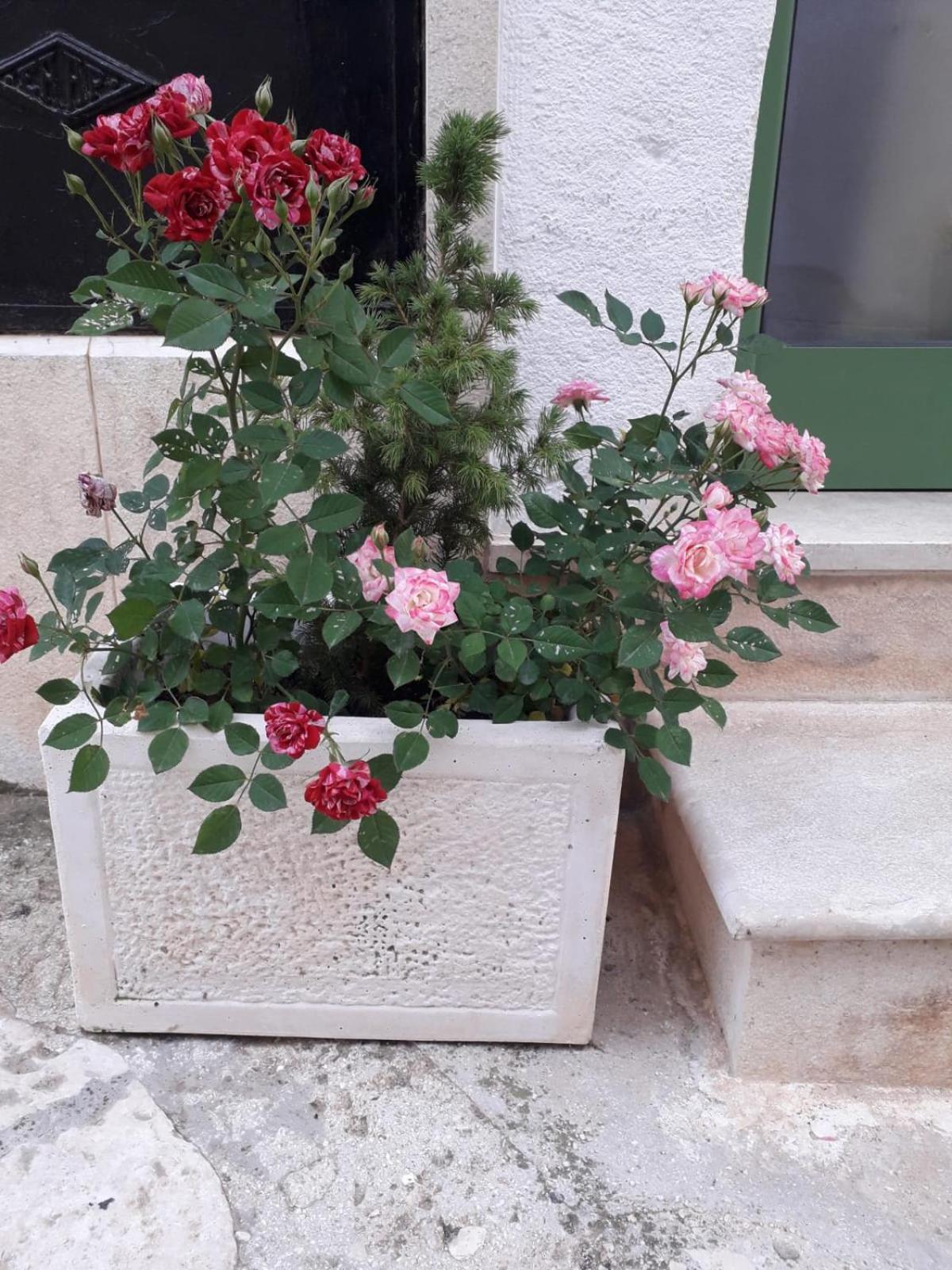 Le Chianche Ceglie Messapica Exterior foto